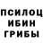 Галлюциногенные грибы прущие грибы Tilek Alyev