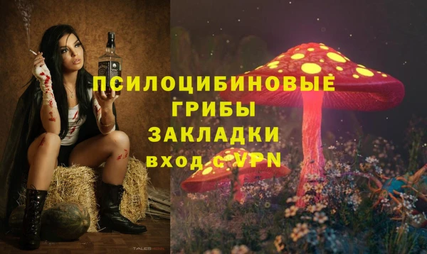 меф Пересвет